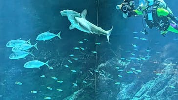 マリンワールド海の中道に投稿された画像（2023/3/13）