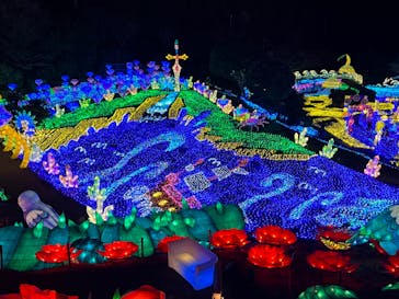 伊豆ぐらんぱる公園に投稿された画像（2023/3/13）