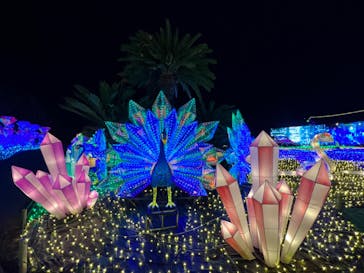 伊豆ぐらんぱる公園に投稿された画像（2023/3/13）