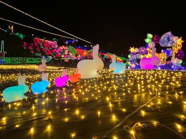 伊豆ぐらんぱる公園に投稿された画像（2023/3/13）