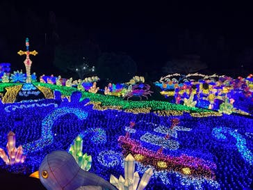 伊豆ぐらんぱる公園に投稿された画像（2023/3/13）