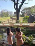 天王寺動物園に投稿された画像（2023/3/14）