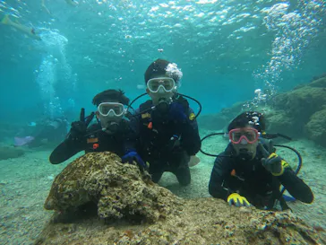 武藤潜水に投稿された画像（2023/3/14）