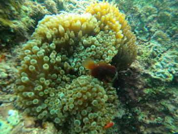 武藤潜水に投稿された画像（2023/3/14）