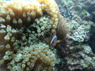 武藤潜水に投稿された画像（2023/3/14）