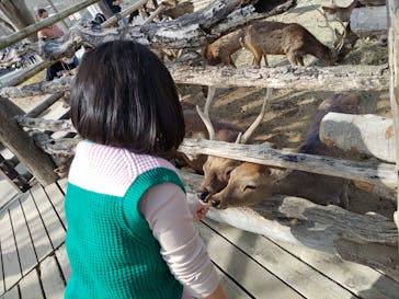 群馬サファリパークに投稿された画像（2023/3/14）