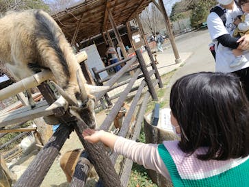 群馬サファリパークに投稿された画像（2023/3/14）