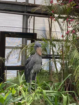 神戸どうぶつ王国に投稿された画像（2023/3/14）