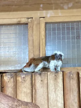 神戸どうぶつ王国に投稿された画像（2023/3/14）