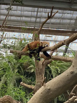 神戸どうぶつ王国に投稿された画像（2023/3/14）