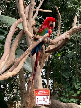 神戸どうぶつ王国に投稿された画像（2023/3/14）