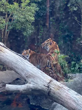 神戸どうぶつ王国に投稿された画像（2023/3/14）