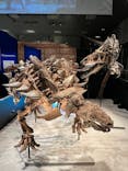 特別展「恐竜博2023」に投稿された画像（2023/3/14）
