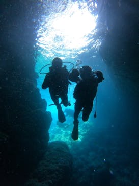 沖縄マリンサービス碧に投稿された画像（2023/3/14）