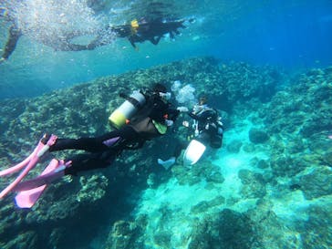 沖縄マリンサービス碧に投稿された画像（2023/3/14）