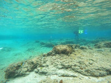 沖縄マリンサービス碧に投稿された画像（2023/3/14）