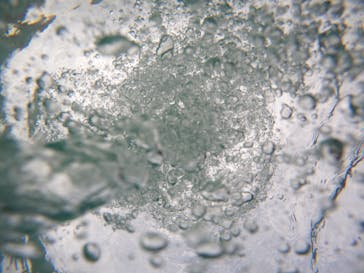 沖縄マリンサービス碧に投稿された画像（2023/3/14）