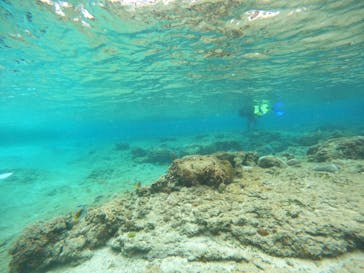 沖縄マリンサービス碧に投稿された画像（2023/3/14）