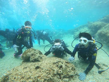 沖縄マリンサービス碧に投稿された画像（2023/3/14）