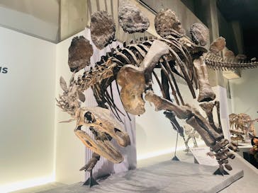 特別展「恐竜博2023」に投稿された画像（2023/3/14）