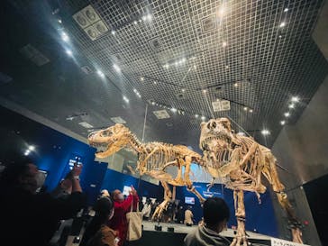 特別展「恐竜博2023」に投稿された画像（2023/3/14）
