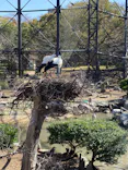 天王寺動物園に投稿された画像（2023/3/14）