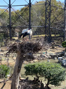 天王寺動物園に投稿された画像（2023/3/14）