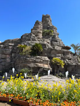 ひらかたパークに投稿された画像（2023/3/14）