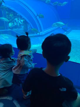 沖縄美ら海水族館に投稿された画像（2023/3/14）
