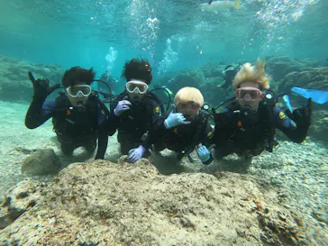 武藤潜水に投稿された画像（2023/3/14）