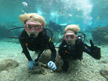 武藤潜水に投稿された画像（2023/3/14）