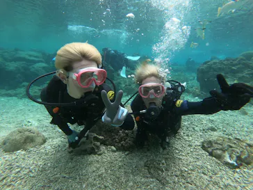 武藤潜水に投稿された画像（2023/3/14）