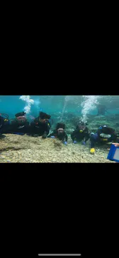 武藤潜水に投稿された画像（2023/3/14）