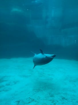 名古屋港水族館に投稿された画像（2023/3/14）