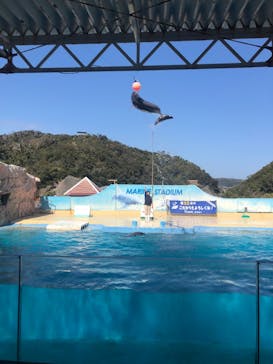 下田海中水族館に投稿された画像（2023/3/14）