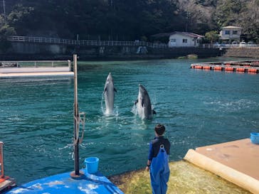 下田海中水族館に投稿された画像（2023/3/14）