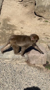 大分マリーンパレス水族館 「うみたまご」に投稿された画像（2023/3/14）