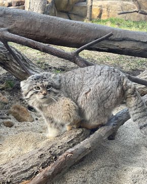 那須どうぶつ王国に投稿された画像（2023/3/14）