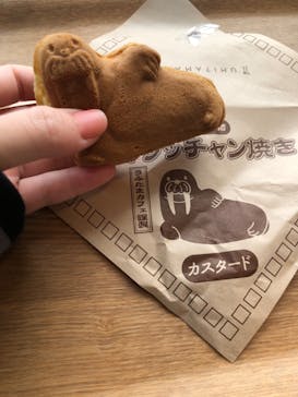 大分マリーンパレス水族館 「うみたまご」に投稿された画像（2023/3/14）