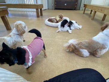 東武動物公園に投稿された画像（2023/3/14）