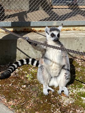 東武動物公園に投稿された画像（2023/3/14）