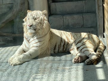 東武動物公園に投稿された画像（2023/3/14）