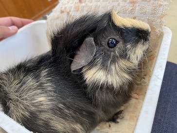 東武動物公園に投稿された画像（2023/3/14）