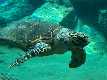 名古屋港水族館に投稿された画像（2023/3/14）