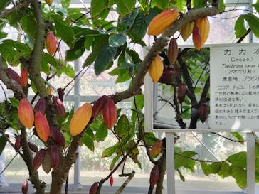 熱川バナナワニ園に投稿された画像（2023/3/14）