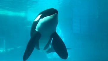 名古屋港水族館に投稿された画像（2023/3/14）