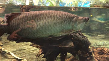 名古屋港水族館に投稿された画像（2023/3/14）