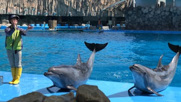 名古屋港水族館に投稿された画像（2023/3/14）