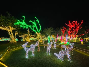美らヤシパークオキナワ・東南植物楽園に投稿された画像（2023/3/14）