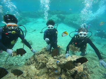 沖縄マリンサービス碧に投稿された画像（2023/3/14）